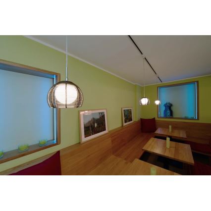 Deko-Light 342029 - Luster na sajli FILO 1xG9/40W/230V pr. 16 cm srebrno