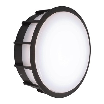 Deko-Light 731058 - LED Spoljna zidna lampa MEISSA LED/6,8W/230V IP44 antracit