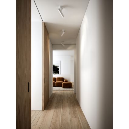 DFTP by Nordlux - Reflektorska lampa MIB 1xGU10/8W/230V bela