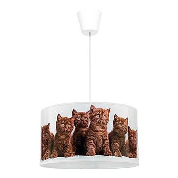 Duolla - Dečiji luster na sajli CATS 1xE27/40W/230V pr. 35 cm