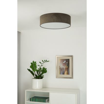Duolla - LED Plafonjera CORTINA LED/26W/230V pr. 30 cm 4000K braon