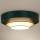 Duolla - LED Plafonjera LUNETA LED/26W/230V pr. 60 cm 4000K zelena/zlatna/bela