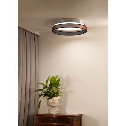 Duolla - LED Plafonjera ROLLER DUO SHINY LED/24W/230V pr. 45 cm bela/bakrena