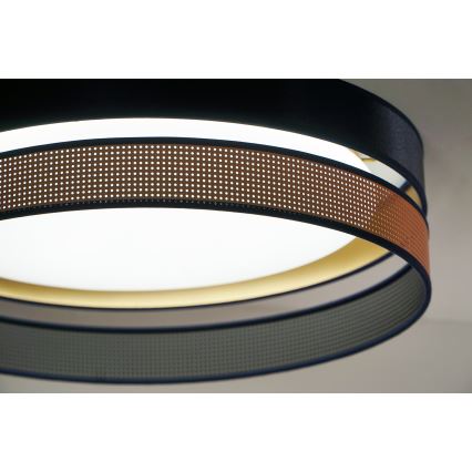 Duolla - LED Plafonjera ROLLER DUO SHINY LED/24W/230V pr. 45 cm plava/bakrena