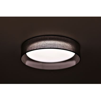 Duolla - LED Plafonjera ROLLER LED/24W/230V pr. 45 cm antracit