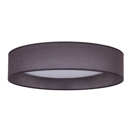 Duolla - LED Plafonjera ROLLER LED/24W/230V pr. 45 cm antracit