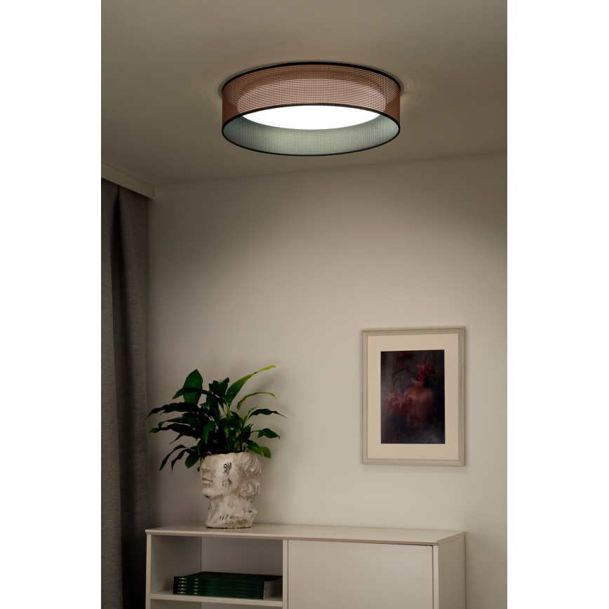 Duolla - LED Plafonjera ROLLER LED/24W/230V pr. 45 cm bakrena/crno