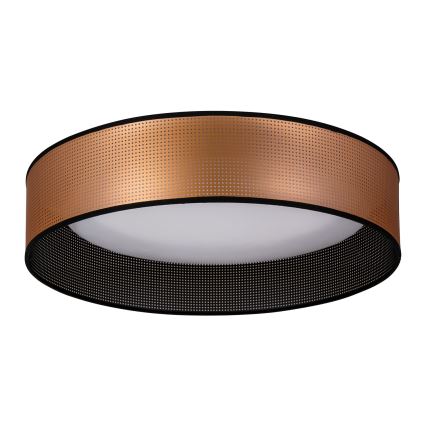 Duolla - LED Plafonjera ROLLER LED/24W/230V pr. 45 cm bakrena/crno
