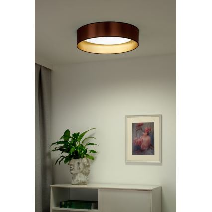 Duolla - LED Plafonjera ROLLER LED/24W/230V pr. 45 cm bakrena/zlatna