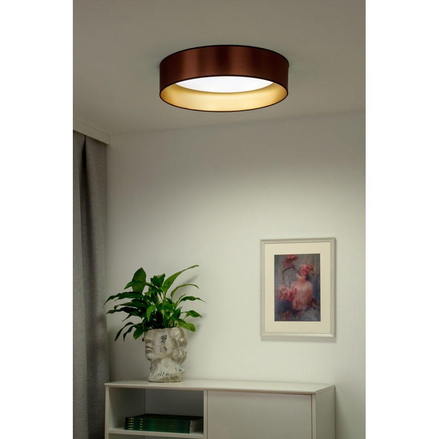 Duolla - LED Plafonjera ROLLER LED/24W/230V pr. 45 cm bakrena/zlatna