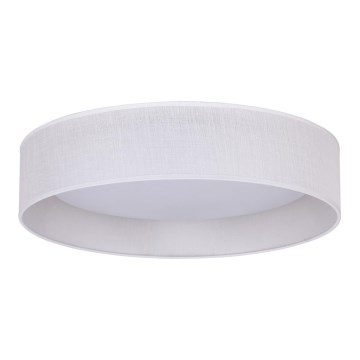 Duolla - LED Plafonjera ROLLER LED/24W/230V pr. 45 cm bela