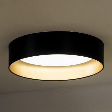 Duolla - LED Plafonjera ROLLER LED/24W/230V pr. 45 cm crno/zlatna