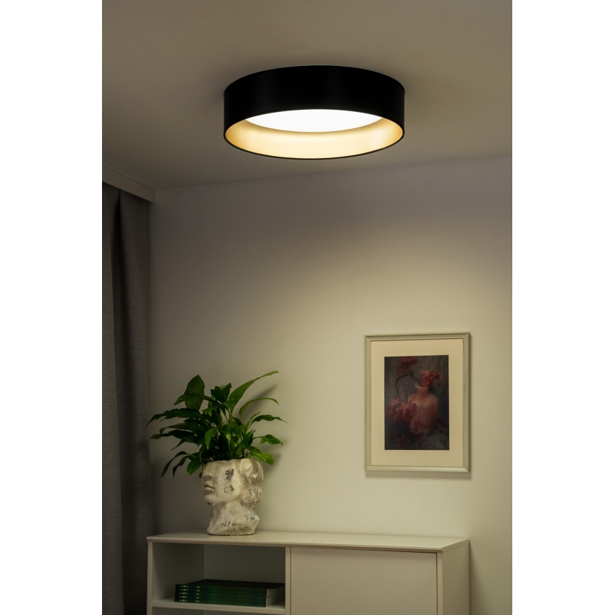 Duolla - LED Plafonjera ROLLER LED/24W/230V pr. 45 cm crno/zlatna