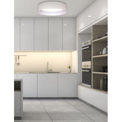 Duolla - LED Plafonjera ROLLER LED/24W/230V pr. 45 cm kremasta