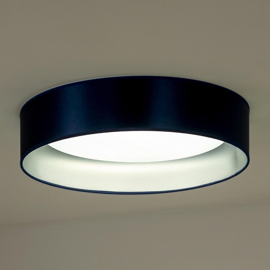 Duolla - LED Plafonjera ROLLER LED/24W/230V pr. 45 cm plava/srebrno