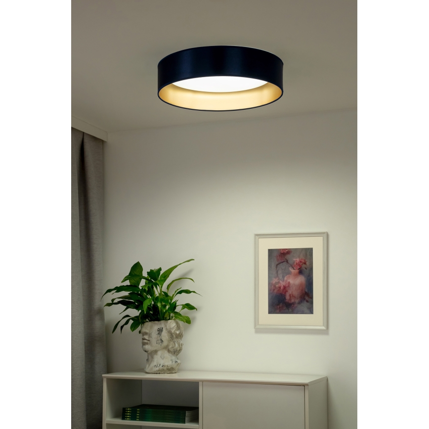 Duolla - LED Plafonjera ROLLER LED/24W/230V pr. 45 cm plava/zlatna