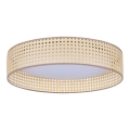 Duolla - LED Plafonjera ROLLER LED/24W/230V pr. 45 cm ratan