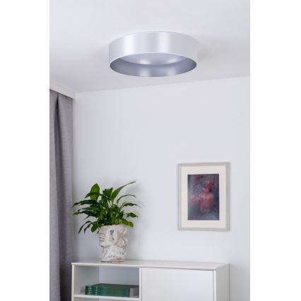 Duolla - LED Plafonjera ROLLER LED/24W/230V pr. 45 cm srebrno