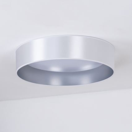 Duolla - LED Plafonjera ROLLER LED/24W/230V pr. 45 cm srebrno