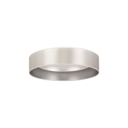 Duolla - LED Plafonjera ROLLER LED/24W/230V pr. 45 cm srebrno