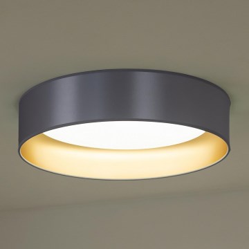 Duolla - LED Plafonjera ROLLER LED/24W/230V pr. 45 cm srebrno/zlatna