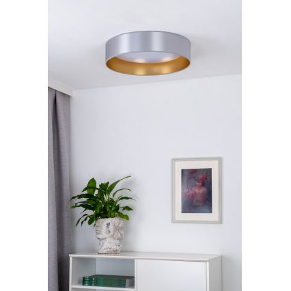 Duolla - LED Plafonjera ROLLER LED/24W/230V pr. 45 cm srebrno/zlatna
