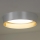 Duolla - LED Plafonjera ROLLER LED/24W/230V pr. 45 cm srebrno/zlatna