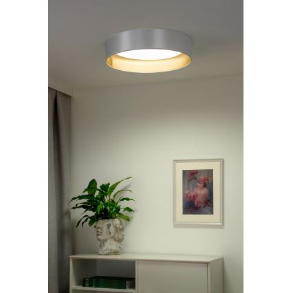 Duolla - LED Plafonjera ROLLER LED/24W/230V pr. 45 cm srebrno/zlatna
