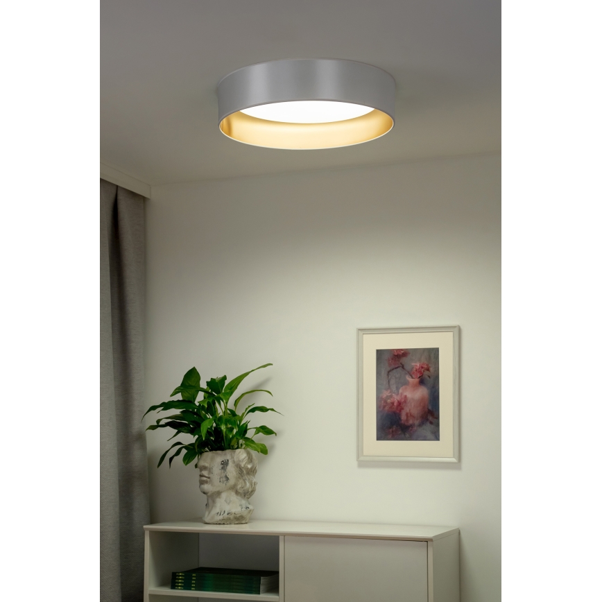 Duolla - LED Plafonjera ROLLER LED/24W/230V pr. 45 cm srebrno/zlatna