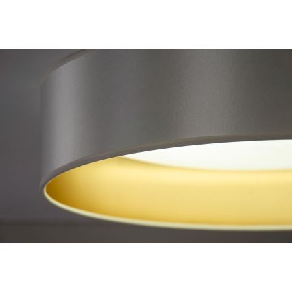 Duolla - LED Plafonjera ROLLER LED/24W/230V pr. 45 cm srebrno/zlatna