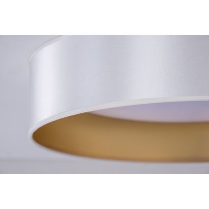 Duolla - LED Plafonjera ROLLER LED/24W/230V pr. 45 cm srebrno/zlatna