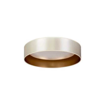 Duolla - LED Plafonjera ROLLER LED/24W/230V pr. 45 cm srebrno/zlatna