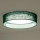 Duolla - LED Plafonjera ROLLER LED/24W/230V pr. 45 cm zelena