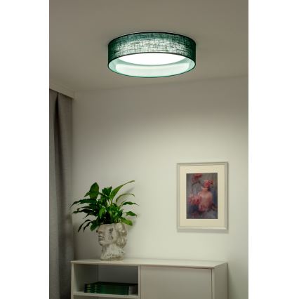 Duolla - LED Plafonjera ROLLER LED/24W/230V pr. 45 cm zelena