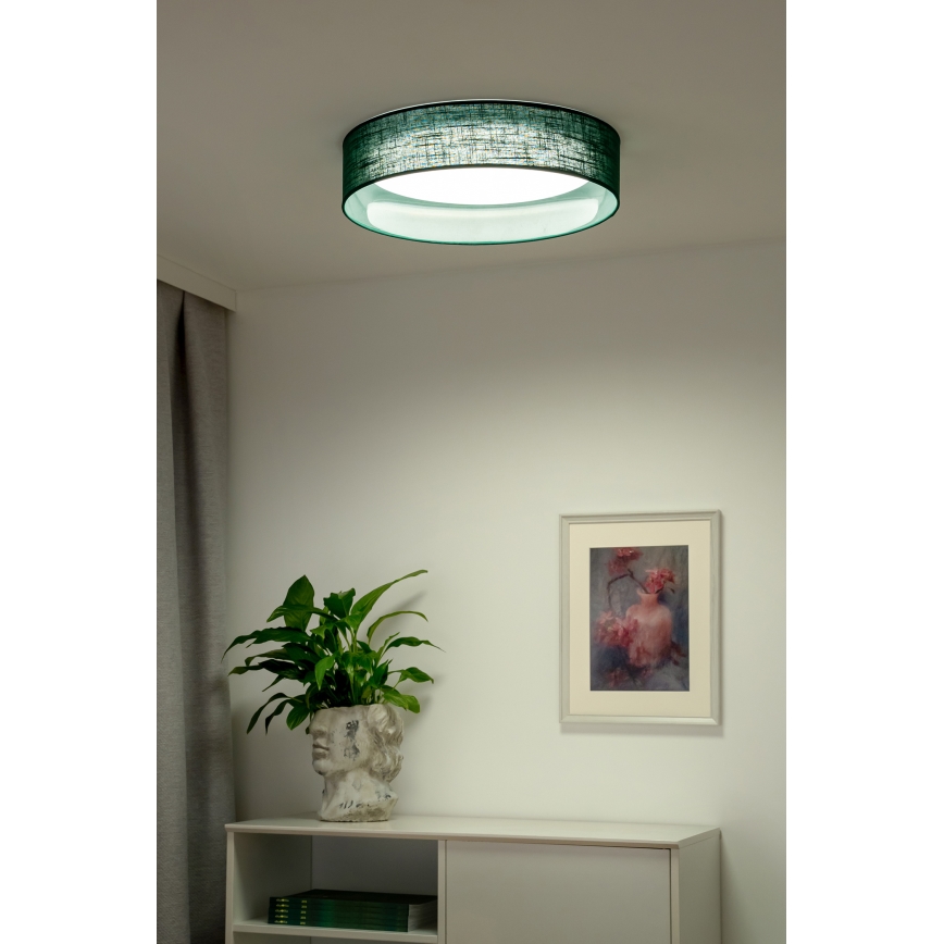 Duolla - LED Plafonjera ROLLER LED/24W/230V pr. 45 cm zelena