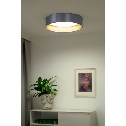 Duolla - LED plafonjera ROLLER LED/24W/230V prečnik 45 cm srebrna/zlatna