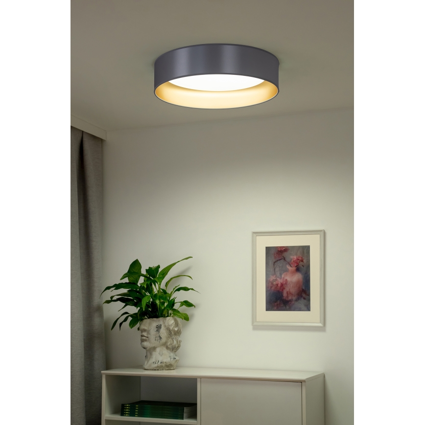 Duolla - LED plafonjera ROLLER LED/24W/230V prečnik 45 cm srebrna/zlatna