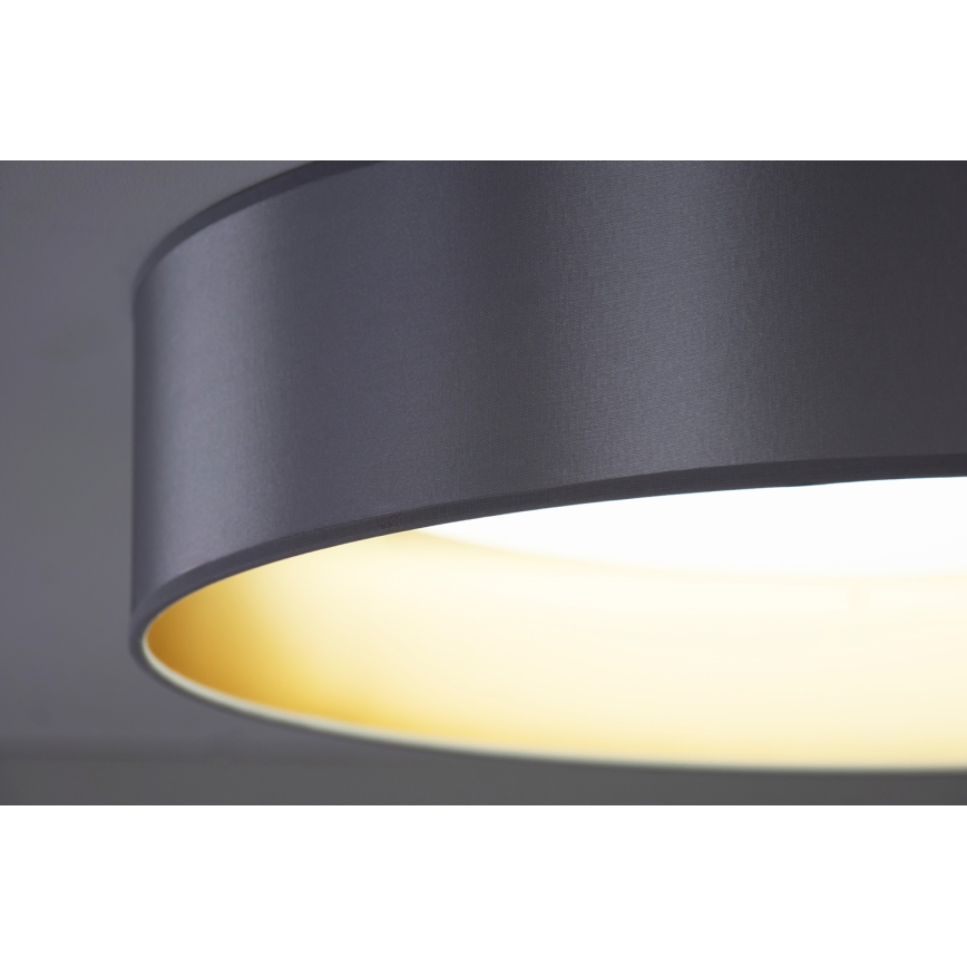 Duolla - LED plafonjera ROLLER LED/24W/230V prečnik 45 cm srebrna/zlatna