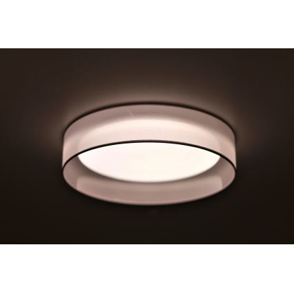 Duolla - LED Plafonjera ROLLER LED/24W/230V svetla pr. 45 cm sivo