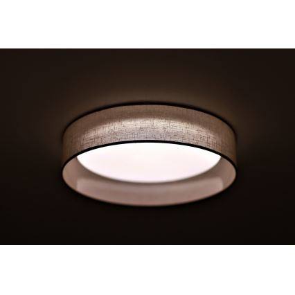 Duolla - LED Plafonjera ROLLER LED/24W/230V svetla pr. 45 cm sivo