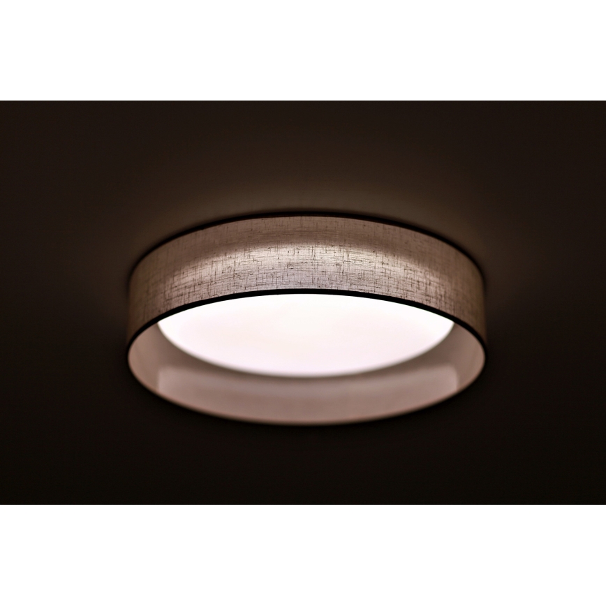 Duolla - LED Plafonjera ROLLER LED/24W/230V svetla pr. 45 cm sivo