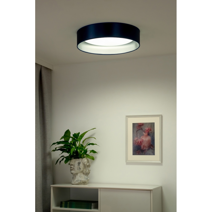 Duolla - LED plafonska svetiljka ROLLER LED/24W/230V prečnika 45 cm plava/srebrna