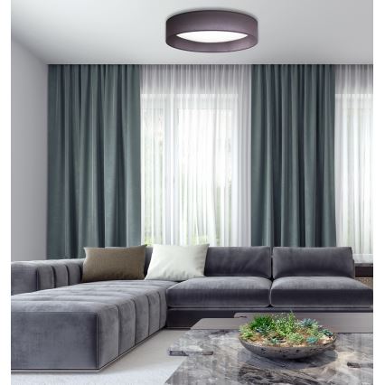 Duolla - LED plafonsko svetlo ROLLER LED/24W/230V prečnik 45 cm antracit