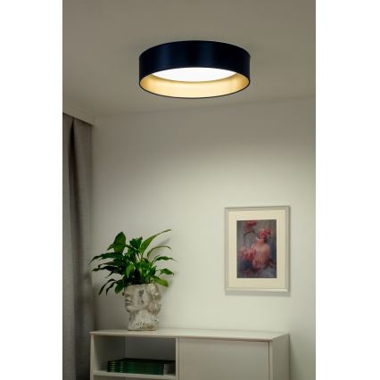 Duolla - LED plafonsko svetlo ROLLER LED/24W/230V prečnik 45 cm plava/zlatna