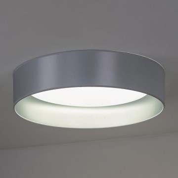 Duolla - LED plafonsko svetlo ROLLER LED/24W/230V prečnik 45 cm srebrno