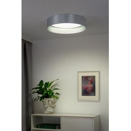 Duolla - LED plafonsko svetlo ROLLER LED/24W/230V prečnik 45 cm srebrno