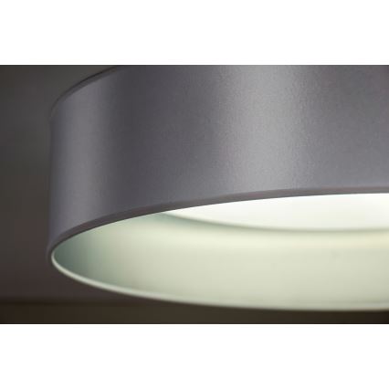 Duolla - LED plafonsko svetlo ROLLER LED/24W/230V prečnik 45 cm srebrno