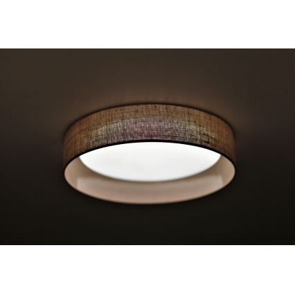 Duolla - LED plafonsko svetlo ROLLER LED/24W/230V, prečnik 45 cm, svetlo braon