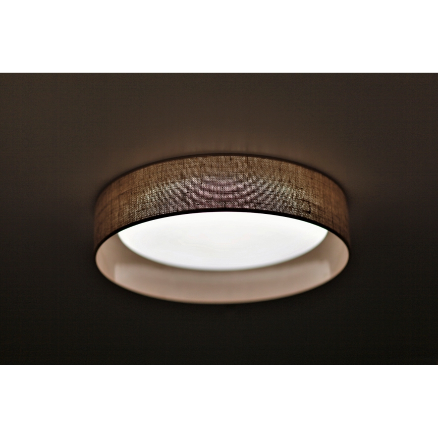Duolla - LED plafonsko svetlo ROLLER LED/24W/230V, prečnik 45 cm, svetlo braon
