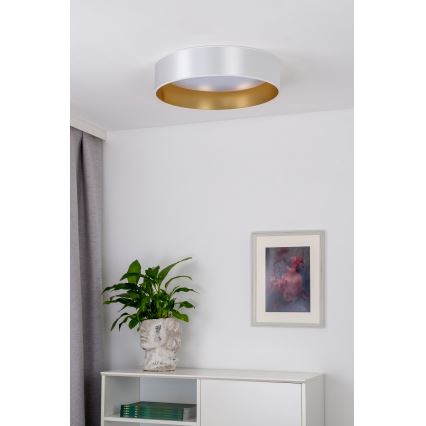 Duolla - LED stropna svetiljka ROLLER LED/24W/230V Ø 45 cm srebrna/zlatna